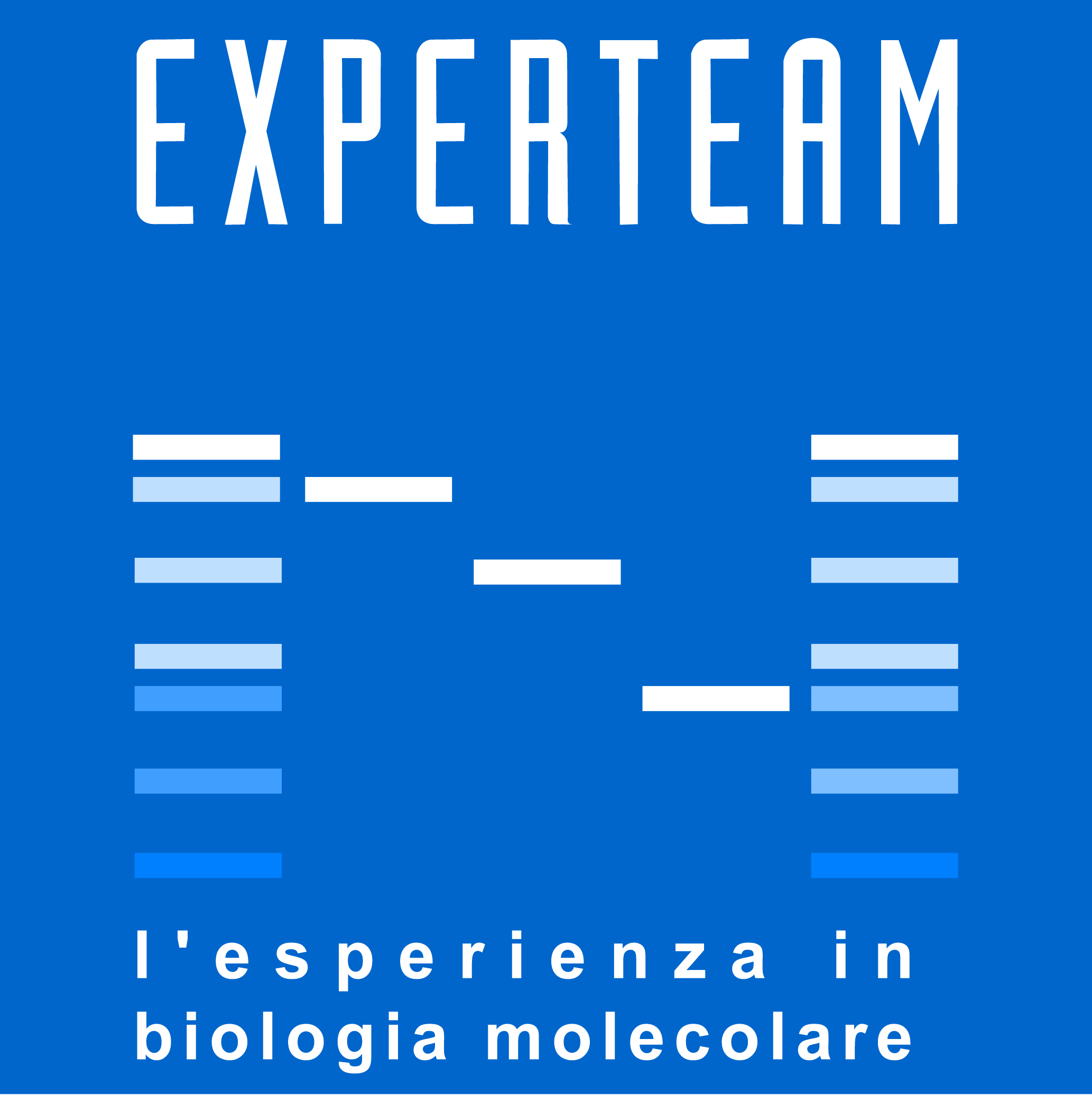Logo Experteam srl